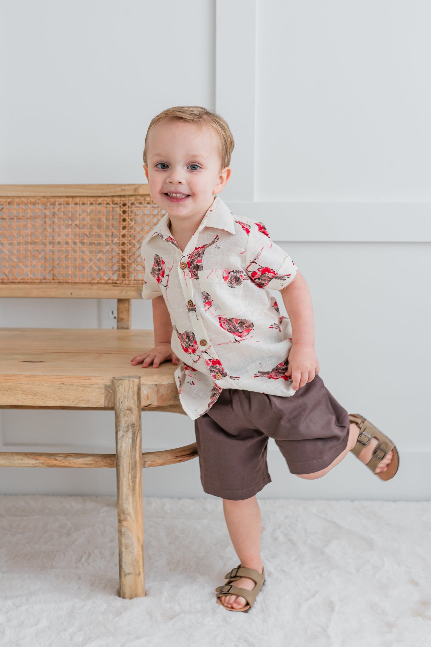 Multi Color Bird Print Boys Shirt & Brown Shorts set Shirt-Shorts Yo Baby India