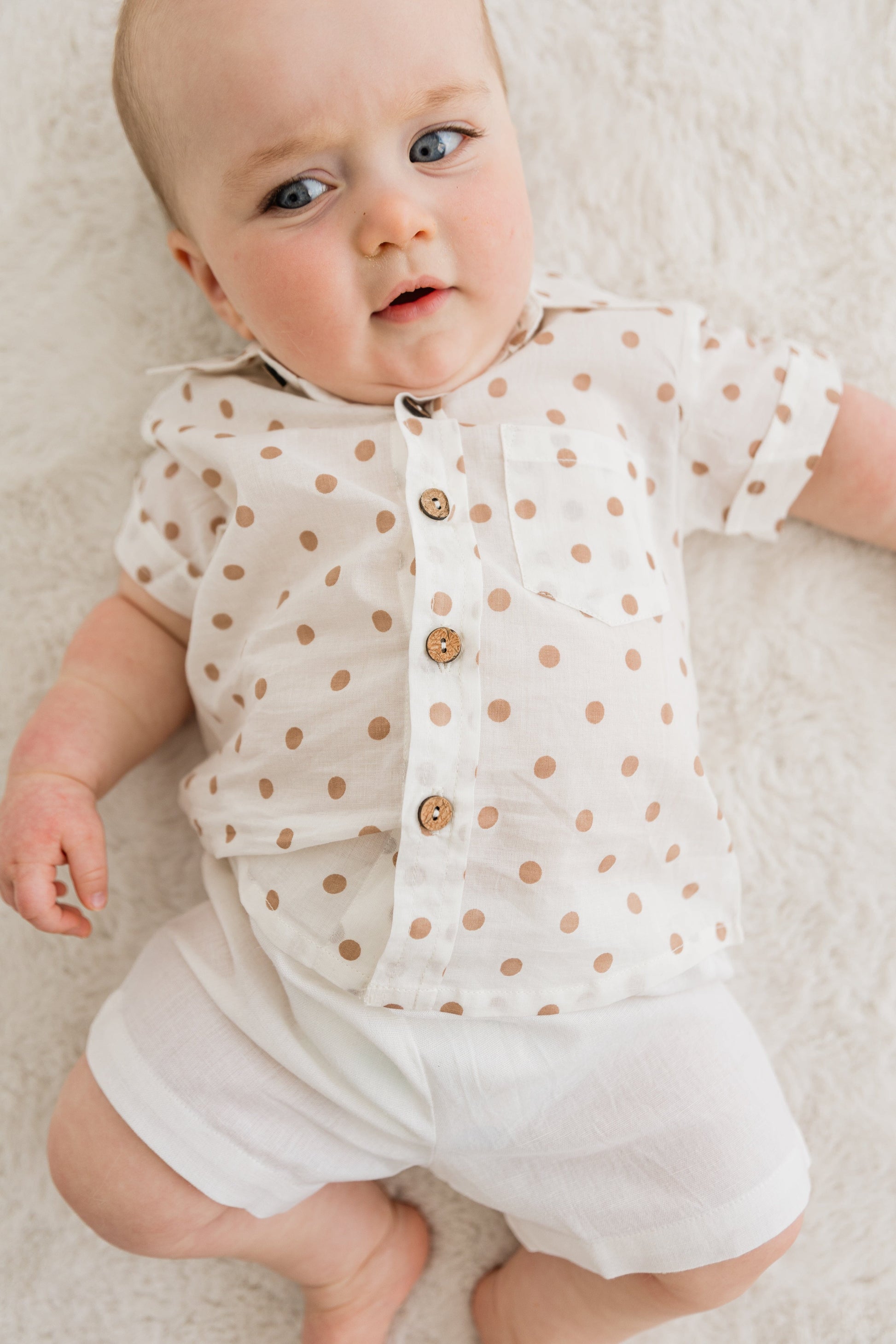 Brown Polka Dot Print Boys Shirt & White Shorts set Shirt-Shorts Yo Baby India
