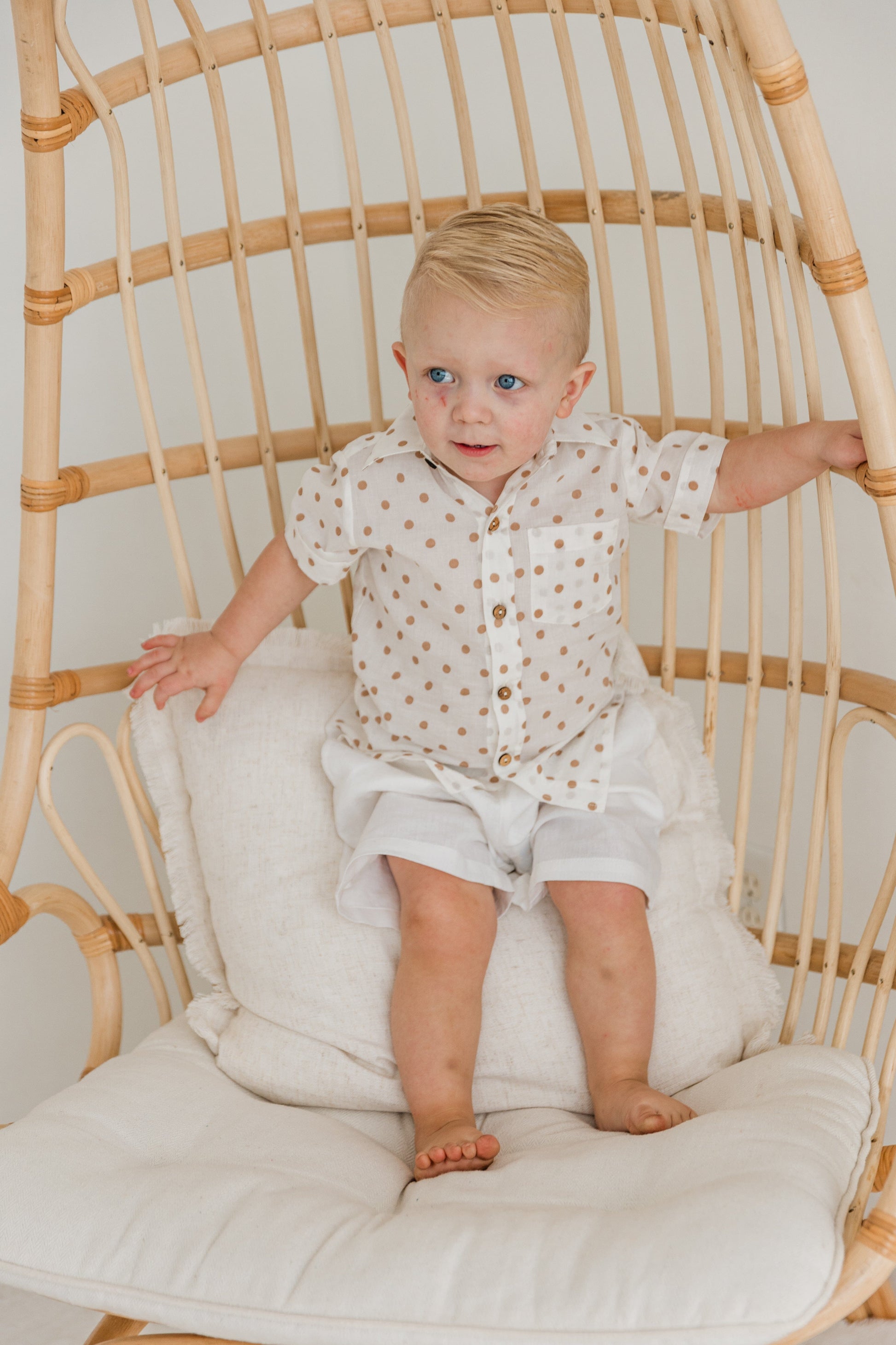 Brown Polka Dot Print Boys Shirt & White Shorts set Shirt-Shorts Yo Baby India