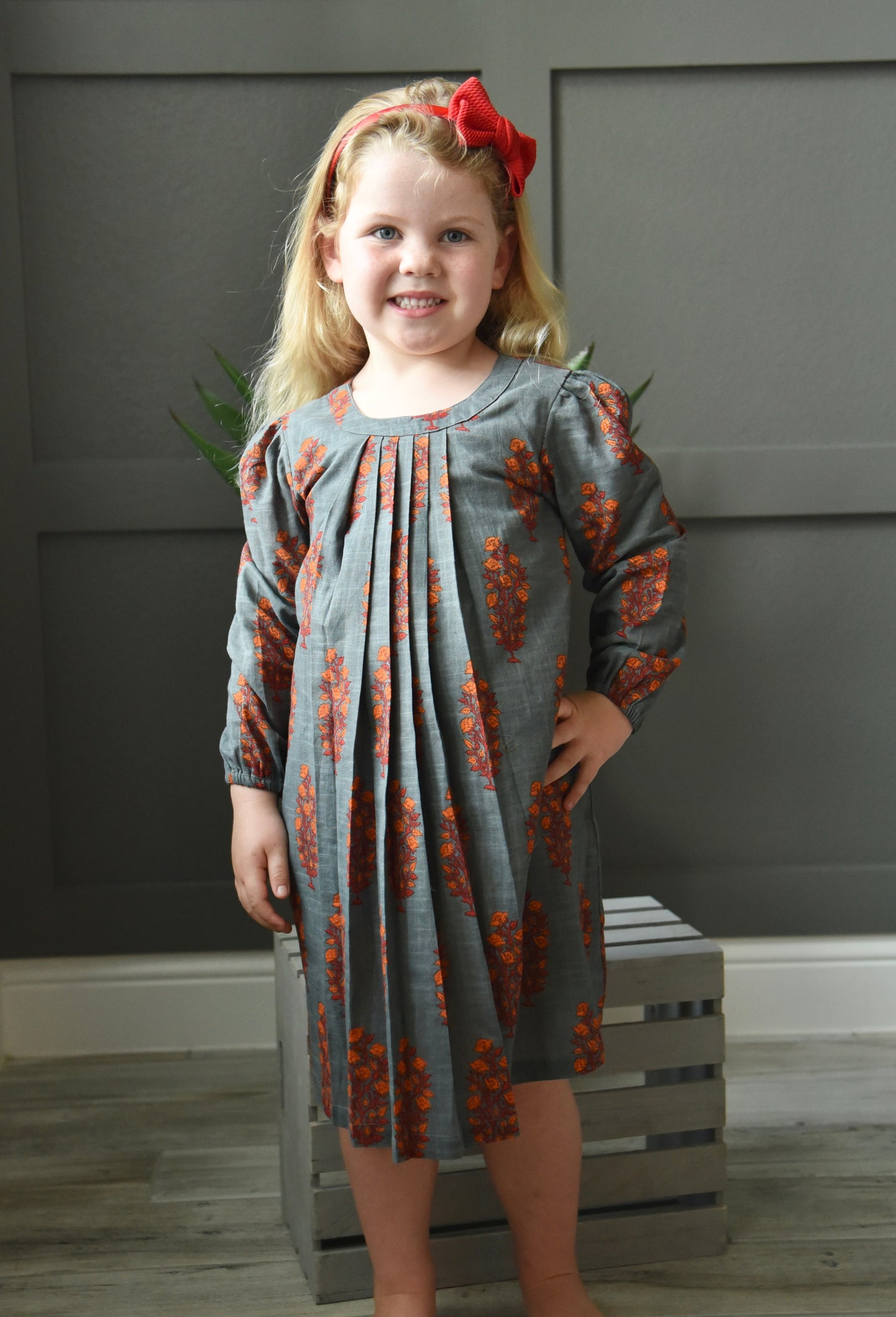 Printed Pleated Grey Full-Sleeves A-Line Dress Dress Yo Baby Wholesale