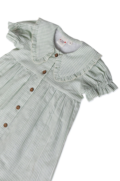 Sage Striped Color Peter Pan Collar Dress DRESS Yo Baby India 
