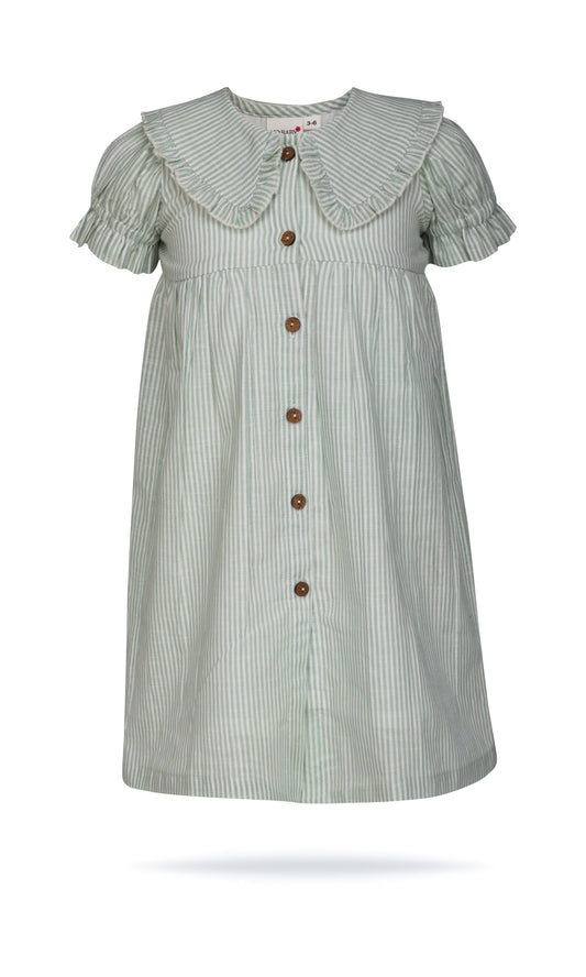 Sage Striped Color Peter Pan Collar Dress DRESS Yo Baby India 